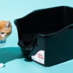 Travel Litter Box