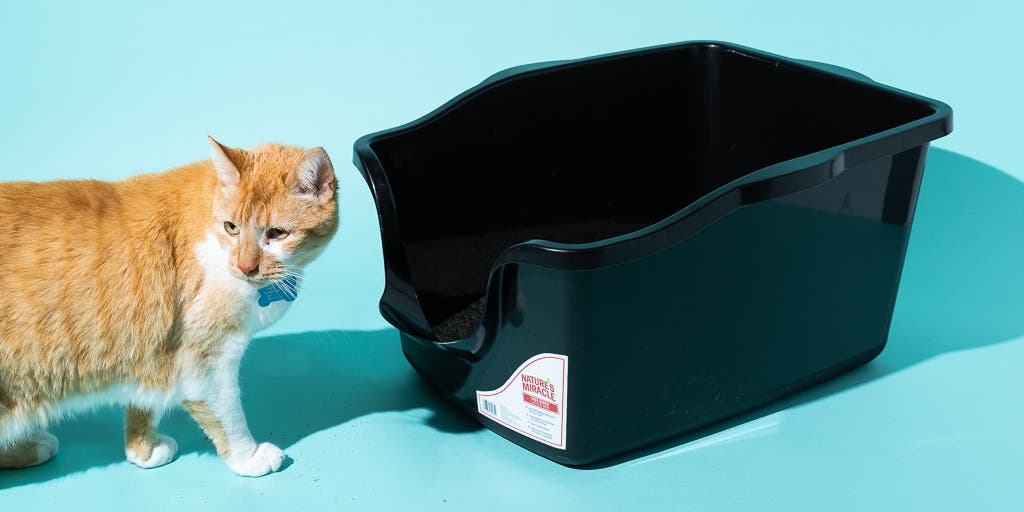 Travel Litter Box